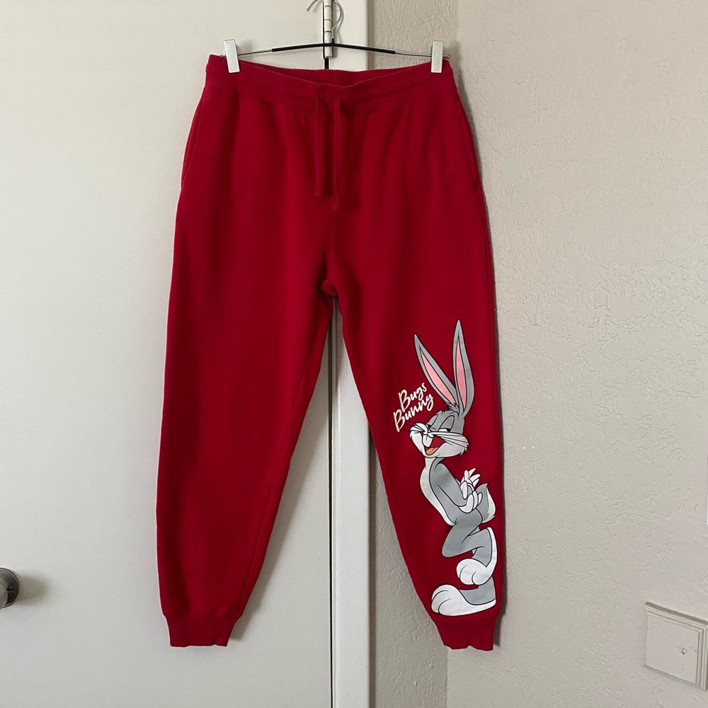 Warner Bros.  Red Jogger Pants. Sz 11/13 in young adults. Gently Used.